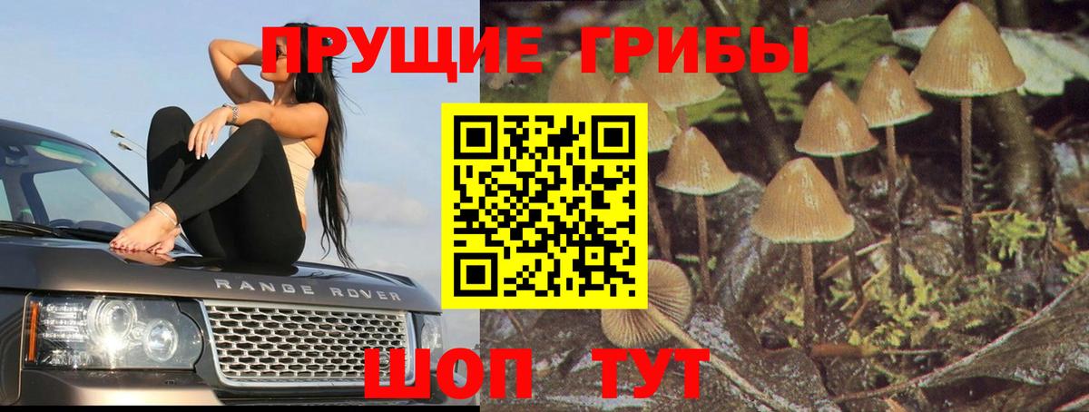 Орёл  Галлюциногенные грибы GOLDEN TEACHER  Вход с VPN  Псилоцибиновые грибы ЛСД 